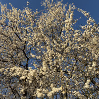Newsletter April 2026