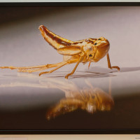 Kunst trifft Wissenschaft