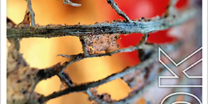 Sprungbrett zur Kunsthochschule