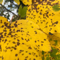 Newsletter Kulturelle Bildung - Oktober - Kreis Segeberg und Hansestadt Lübeck