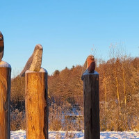 Die Vogeluhr in Kellenhusen