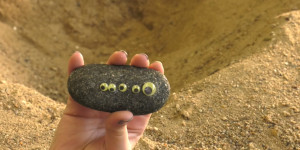 Milliarden Jahre in meiner Hand
